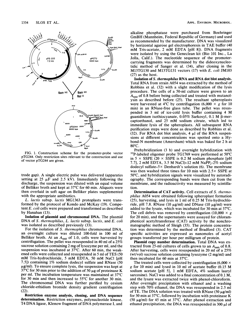 icon of scanned page 1334