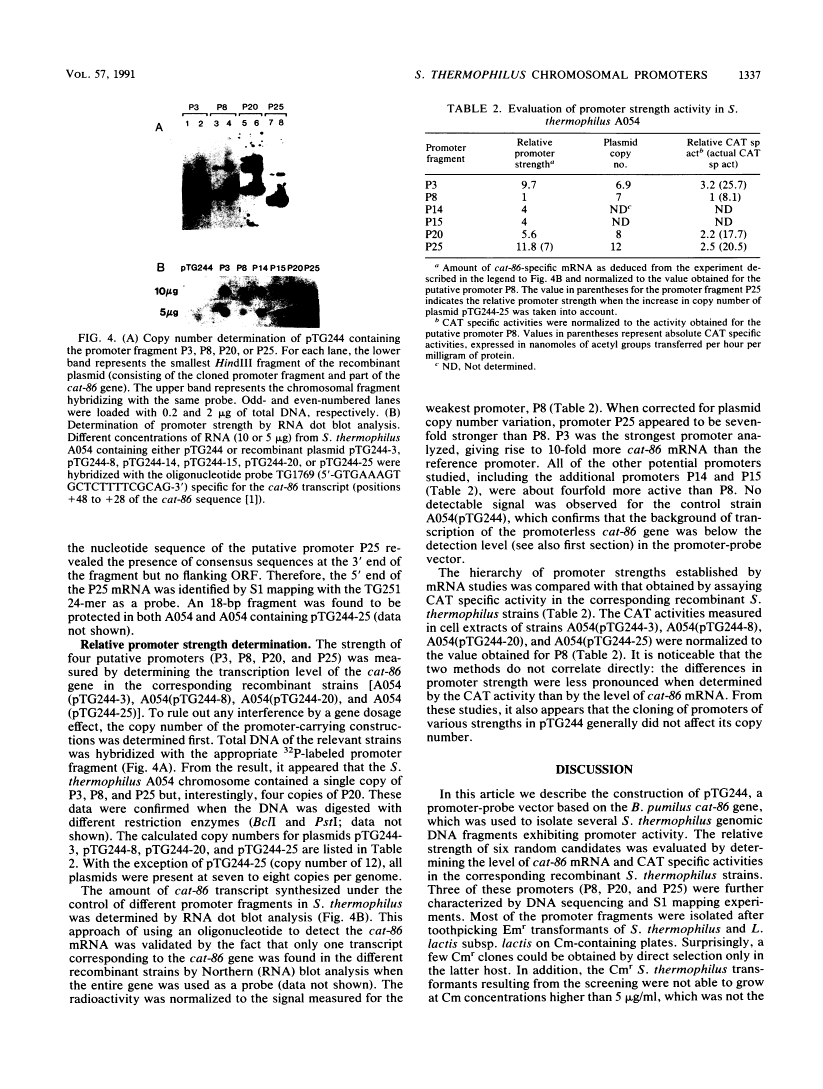 icon of scanned page 1337