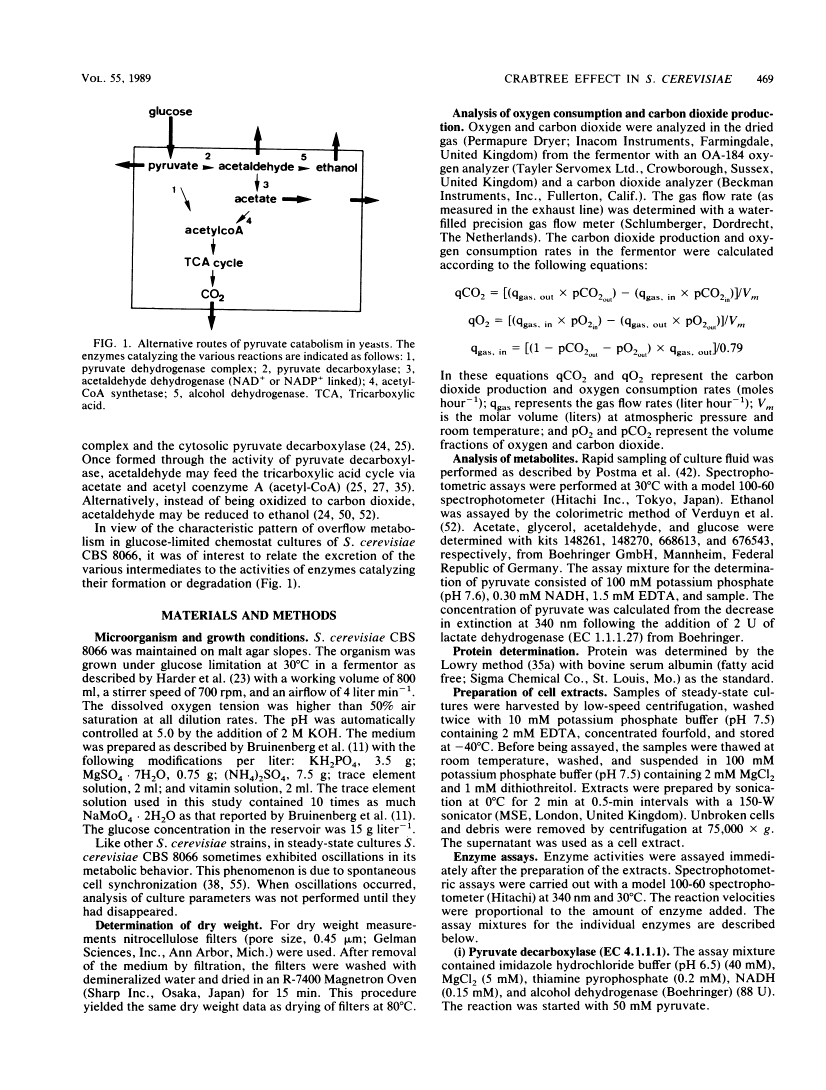 icon of scanned page 469