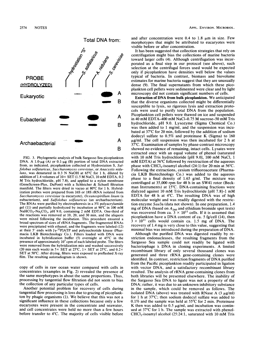 icon of scanned page 2574