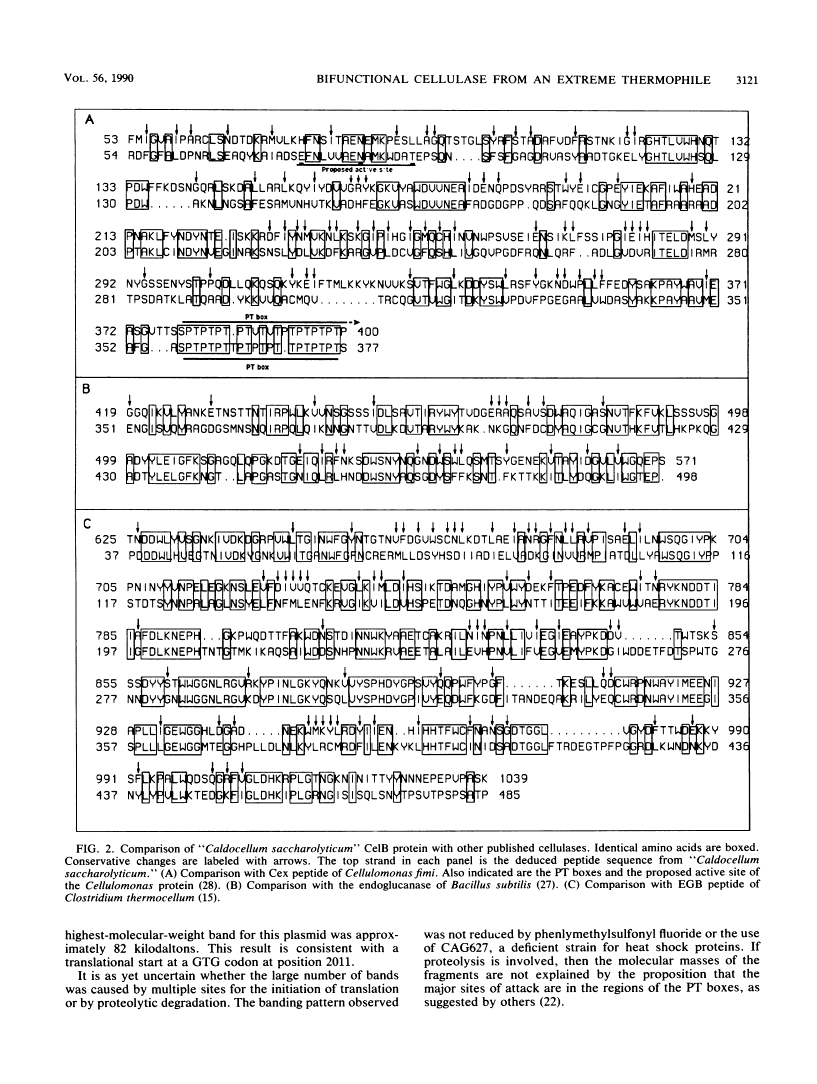 icon of scanned page 3121