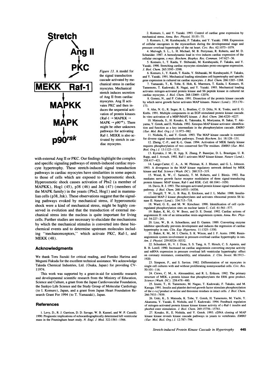 icon of scanned page 445