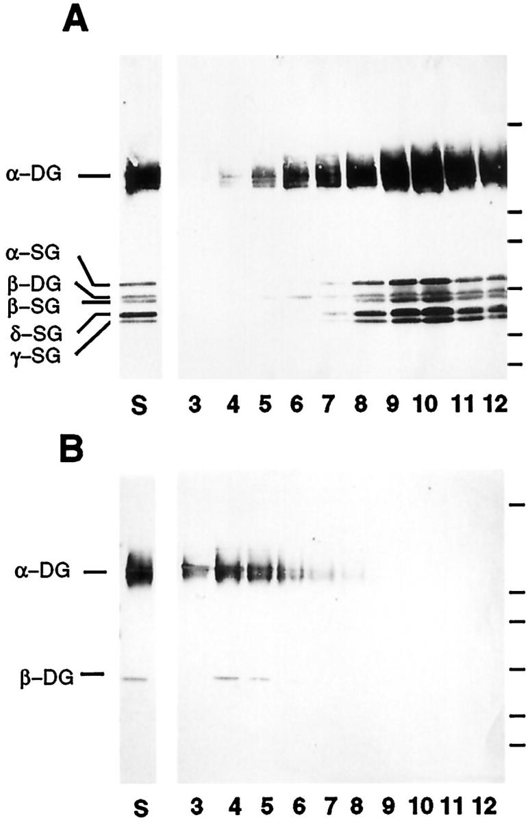 An external file that holds a picture, illustration, etc.
Object name is jh1181508002.jpg