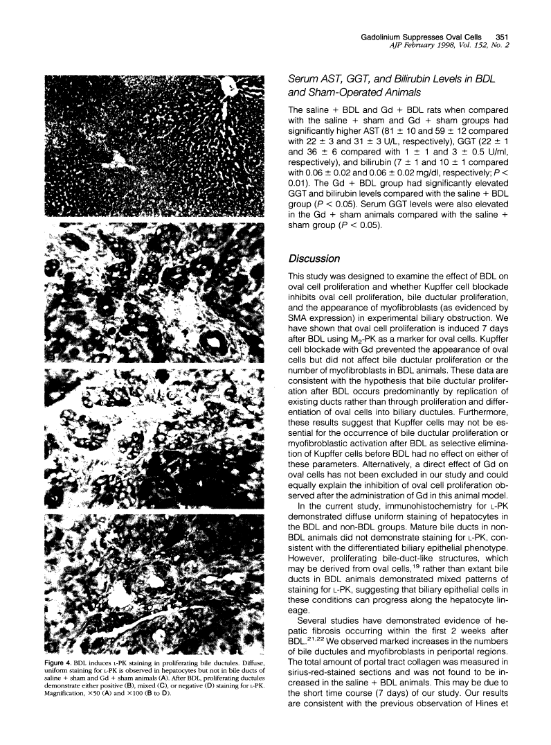 icon of scanned page 351