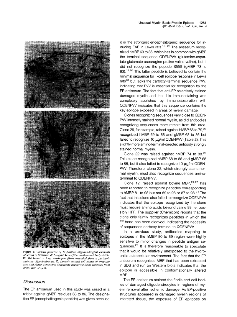 icon of scanned page 1261