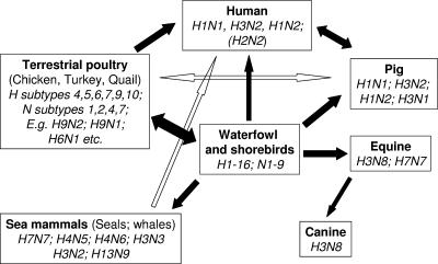 An external file that holds a picture, illustration, etc.
Object name is zcm0020722060001.jpg