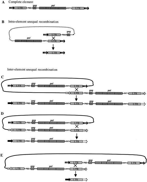 An external file that holds a picture, illustration, etc.
Object name is 46894-5f1_F1TT_rev1.jpg