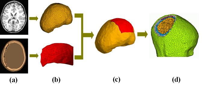 An external file that holds a picture, illustration, etc.
Object name is nihms-15330-0002.jpg