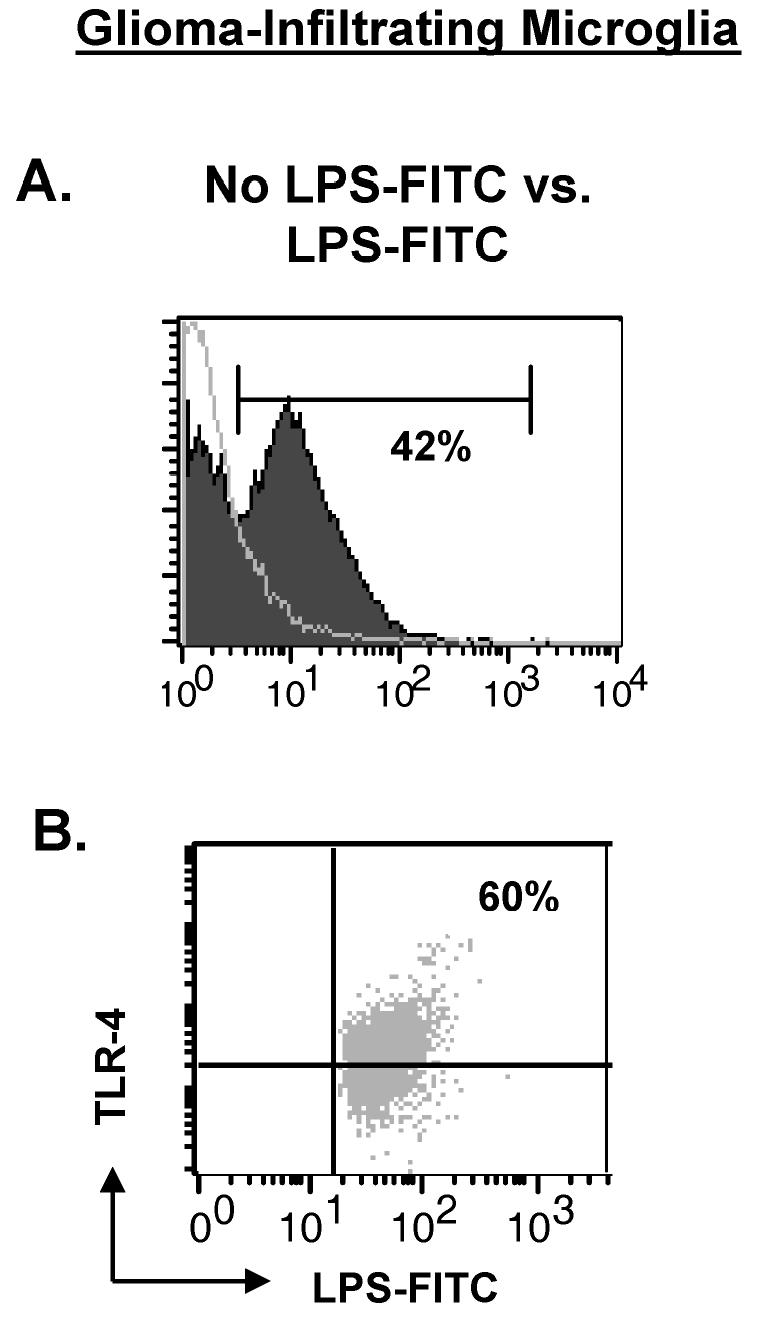 An external file that holds a picture, illustration, etc.
Object name is neu0803p261f8.jpg