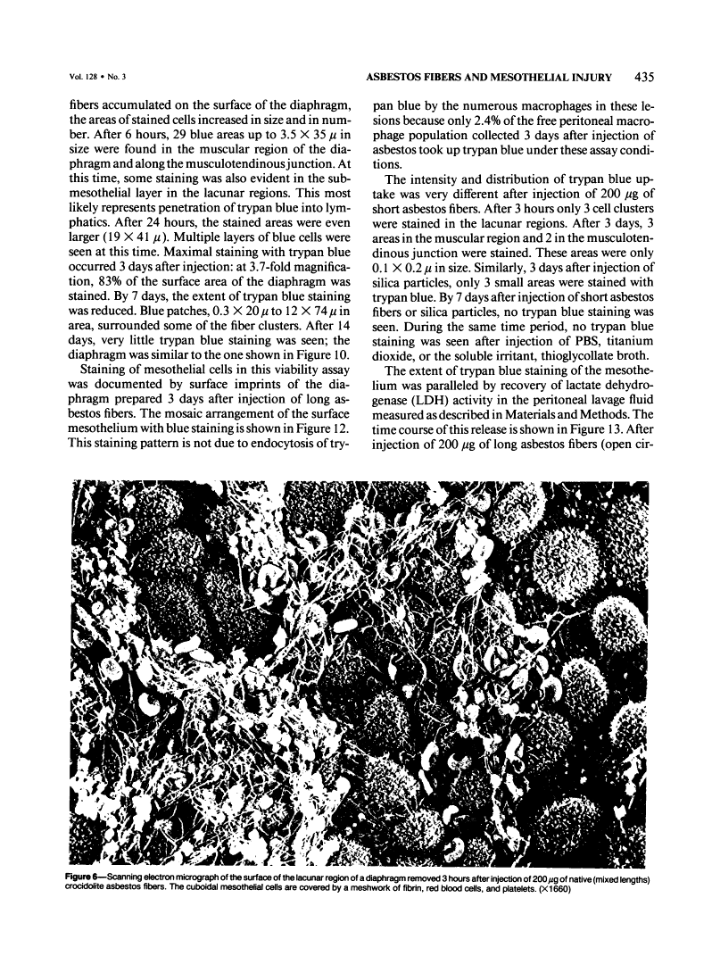 icon of scanned page 435