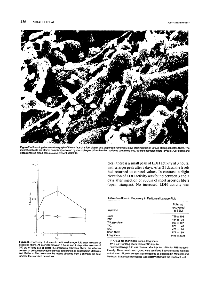 icon of scanned page 436