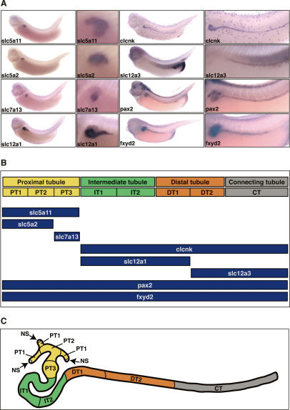 An external file that holds a picture, illustration, etc.
Object name is 2358fig1.jpg