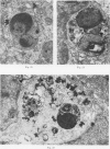 Fig. 20-22