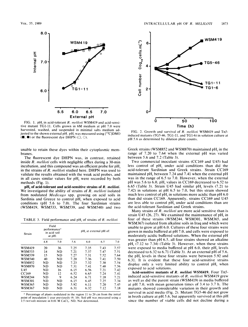 icon of scanned page 1873