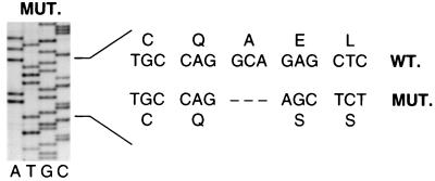 An external file that holds a picture, illustration, etc.
Object name is pq0770029003.jpg