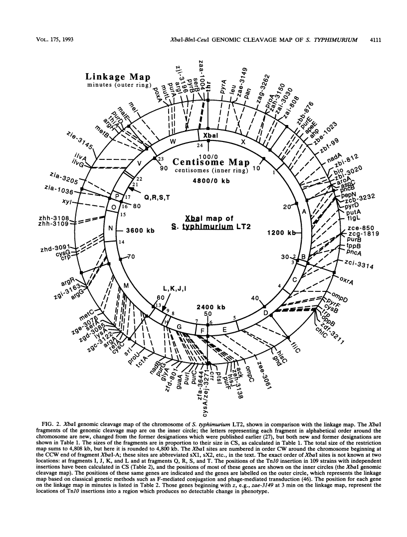 icon of scanned page 4111