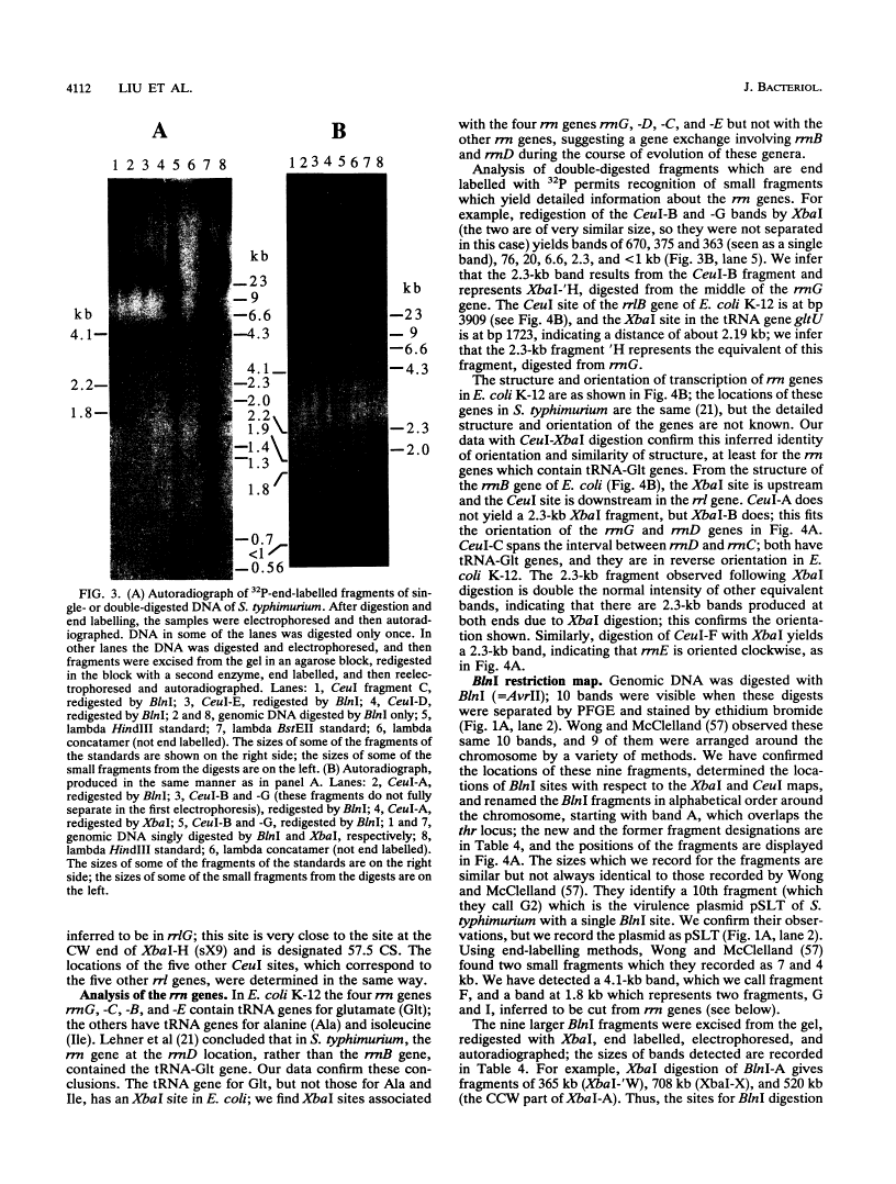 icon of scanned page 4112