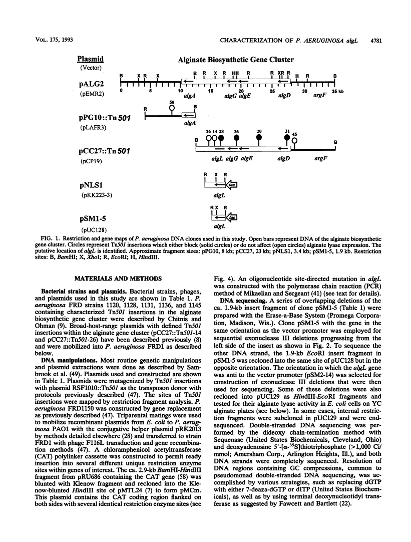 icon of scanned page 4781