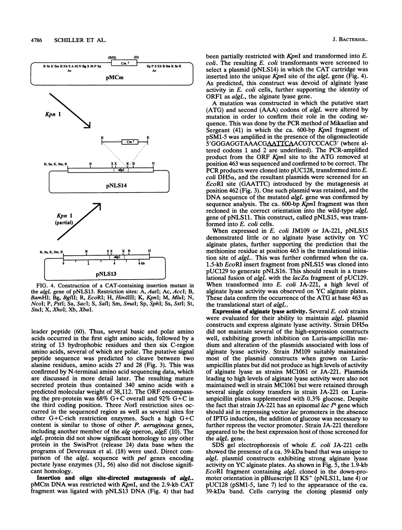 icon of scanned page 4786