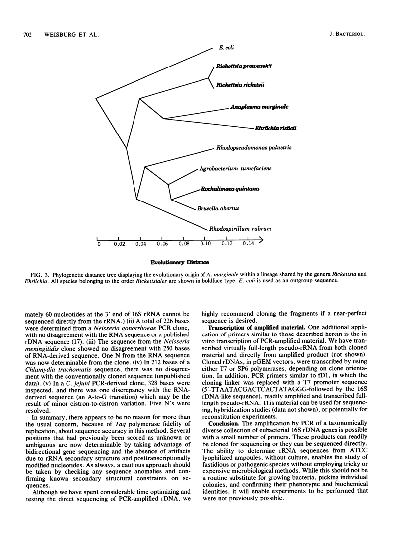 icon of scanned page 702