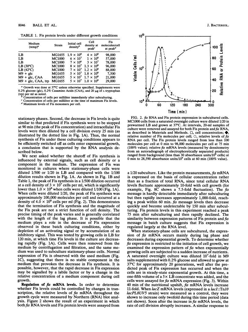 icon of scanned page 8046