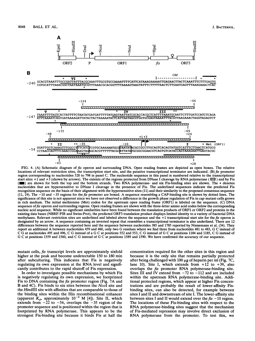 icon of scanned page 8048