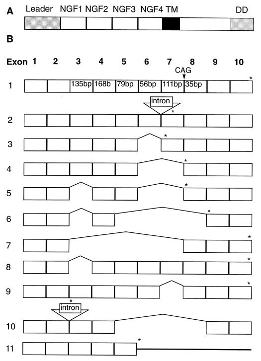 An external file that holds a picture, illustration, etc.
Object name is pq0970447005.jpg