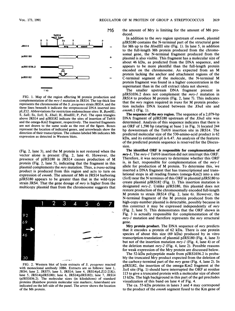 icon of scanned page 2619