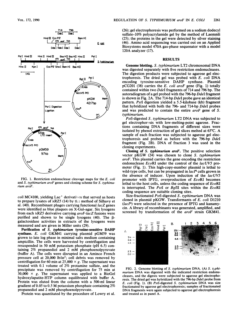 icon of scanned page 2261