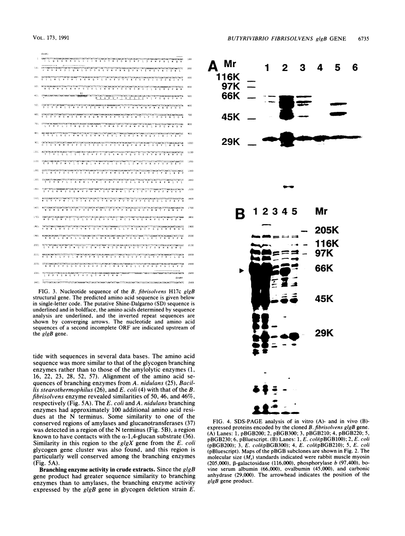 icon of scanned page 6735