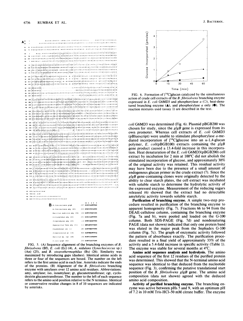 icon of scanned page 6736