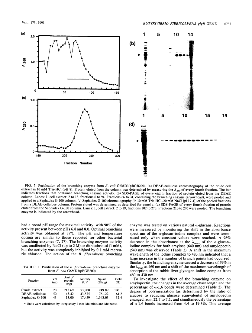 icon of scanned page 6737