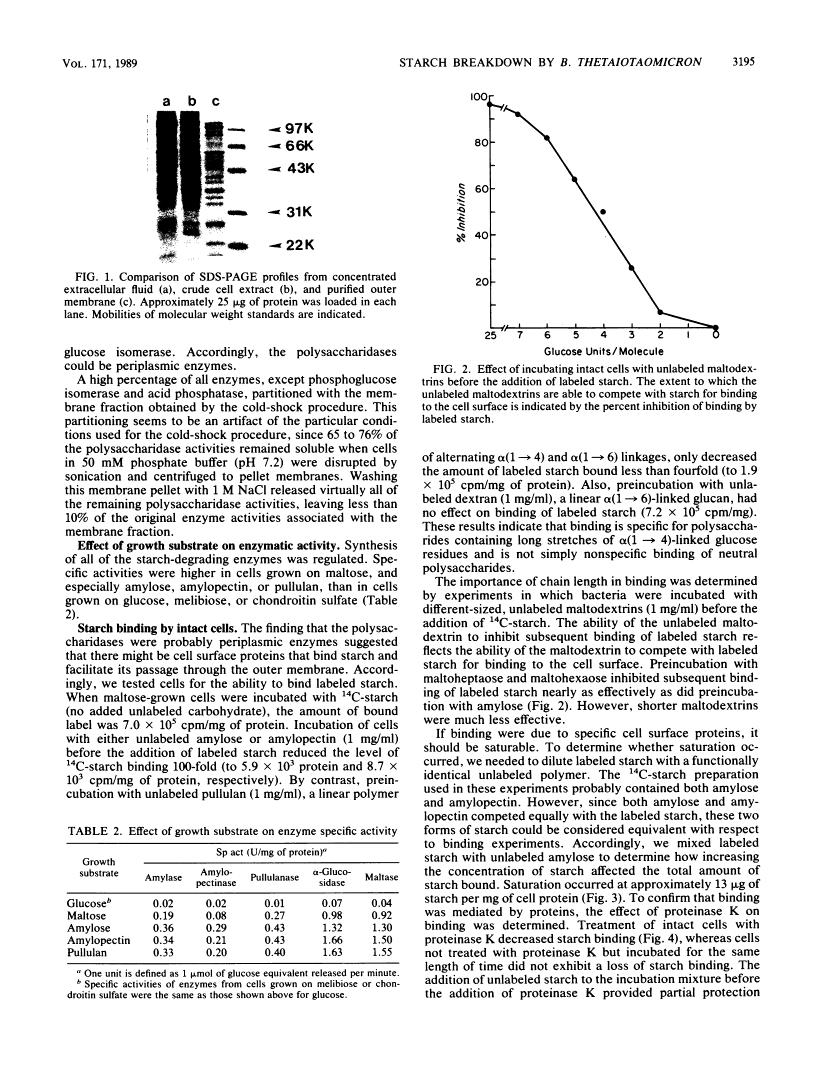 icon of scanned page 3195