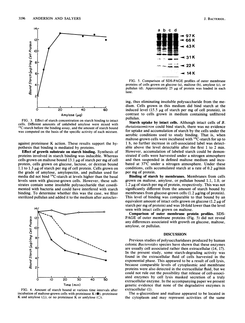 icon of scanned page 3196