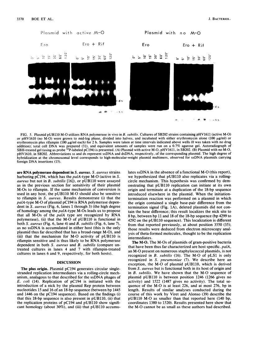 icon of scanned page 3370