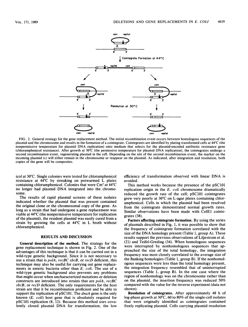 icon of scanned page 4619