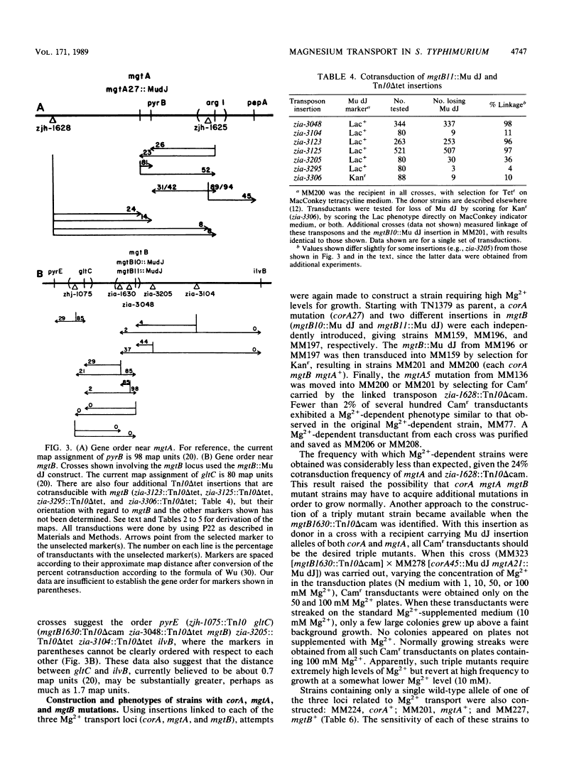 icon of scanned page 4747