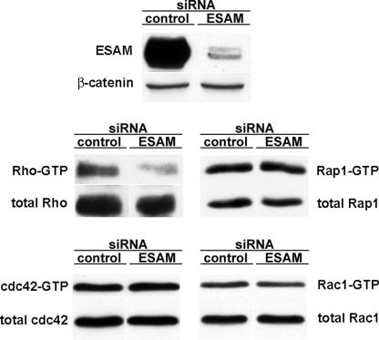 An external file that holds a picture, illustration, etc.
Object name is jem2031671f05.jpg