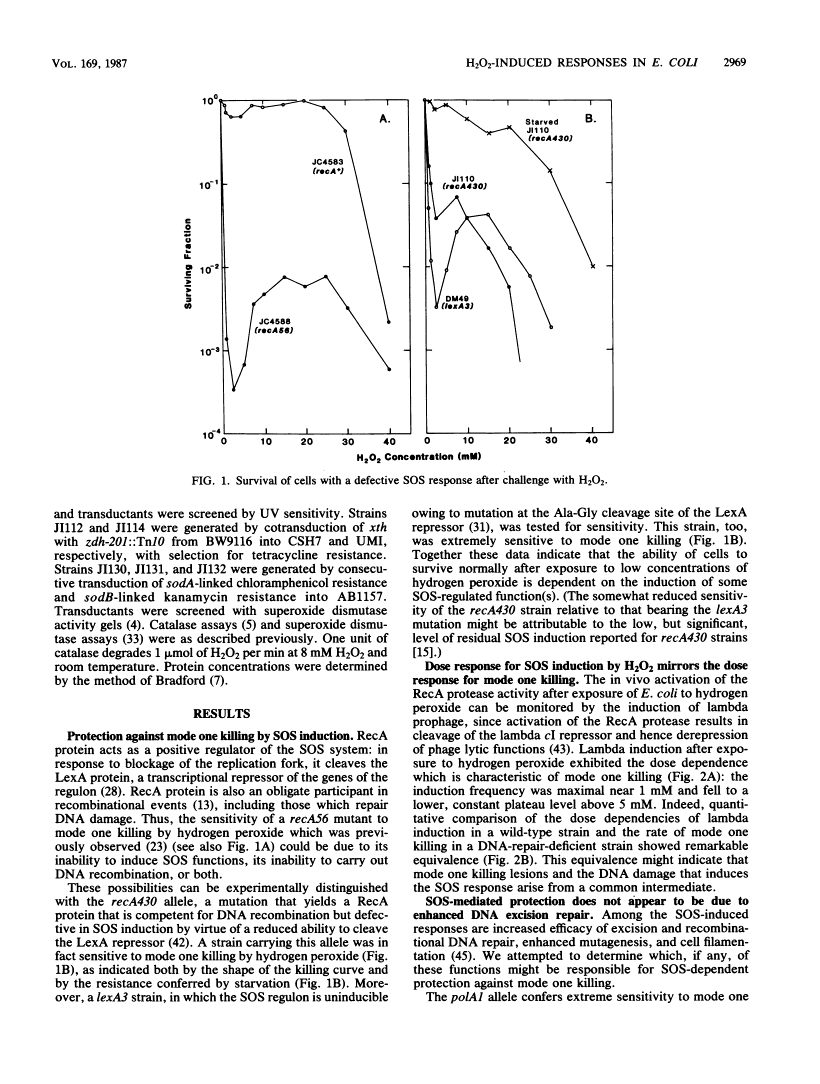 icon of scanned page 2969