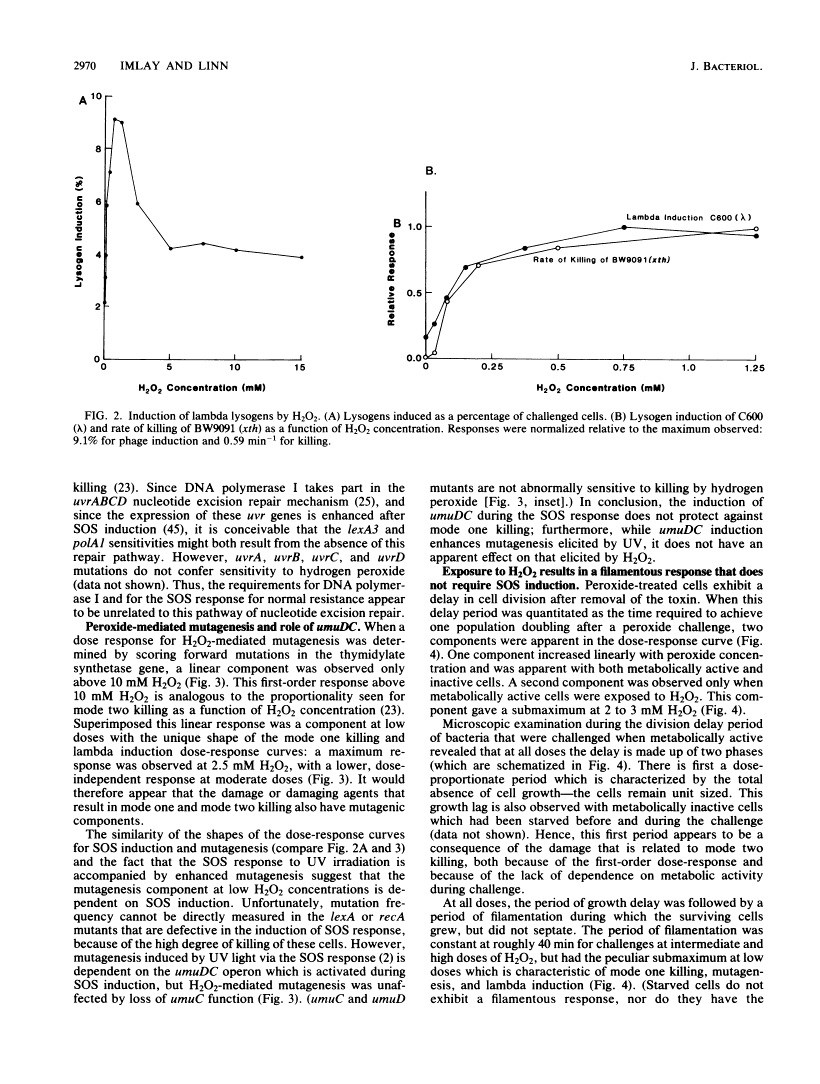 icon of scanned page 2970