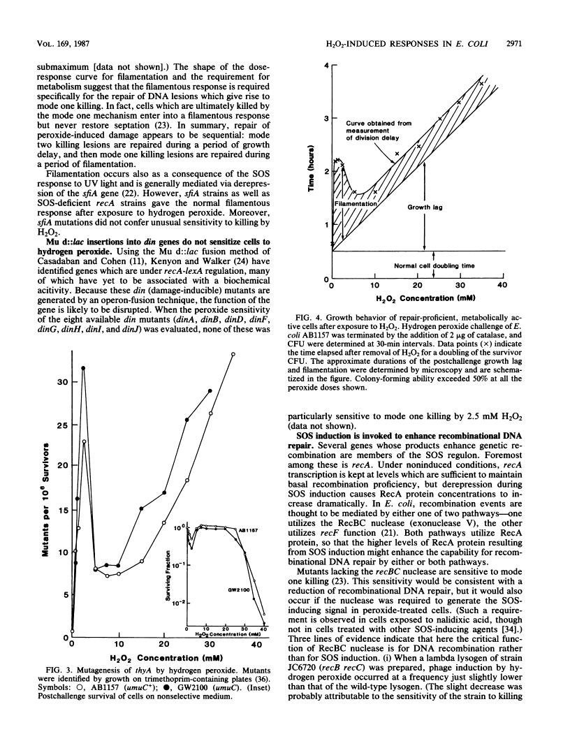 icon of scanned page 2971