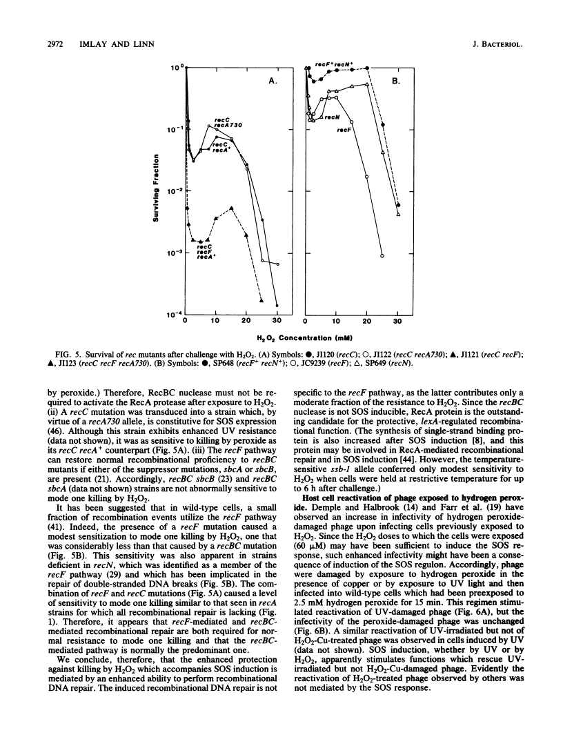 icon of scanned page 2972