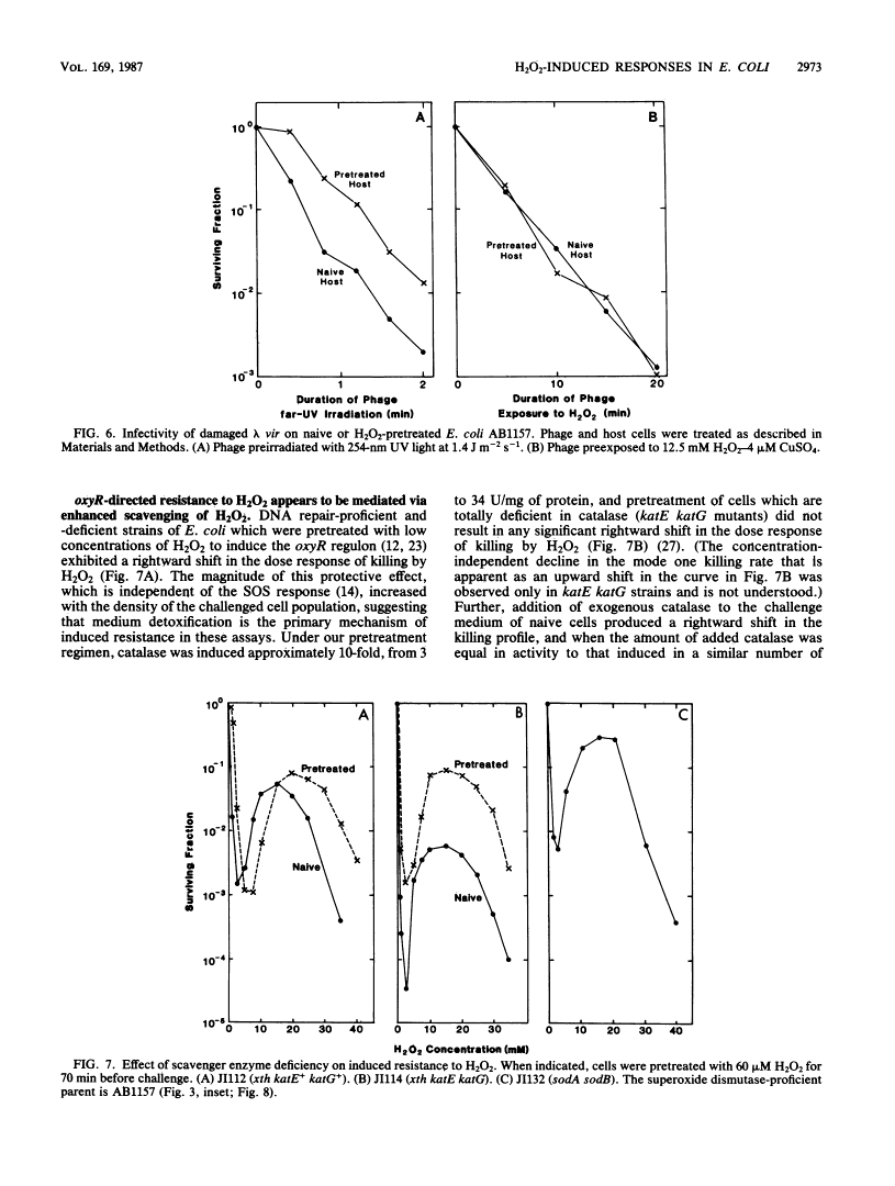 icon of scanned page 2973