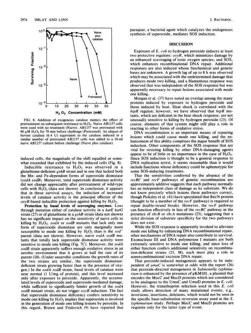 icon of scanned page 2974