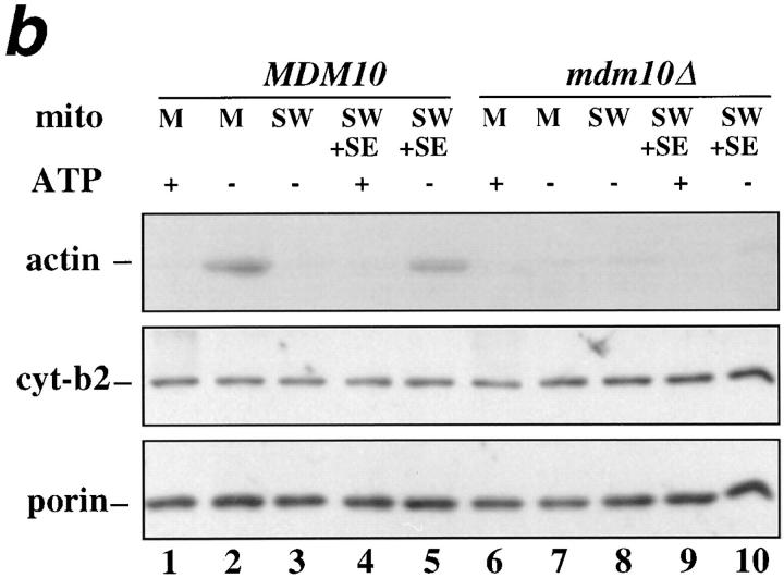 An external file that holds a picture, illustration, etc.
Object name is JCB9802032.f9b.jpg