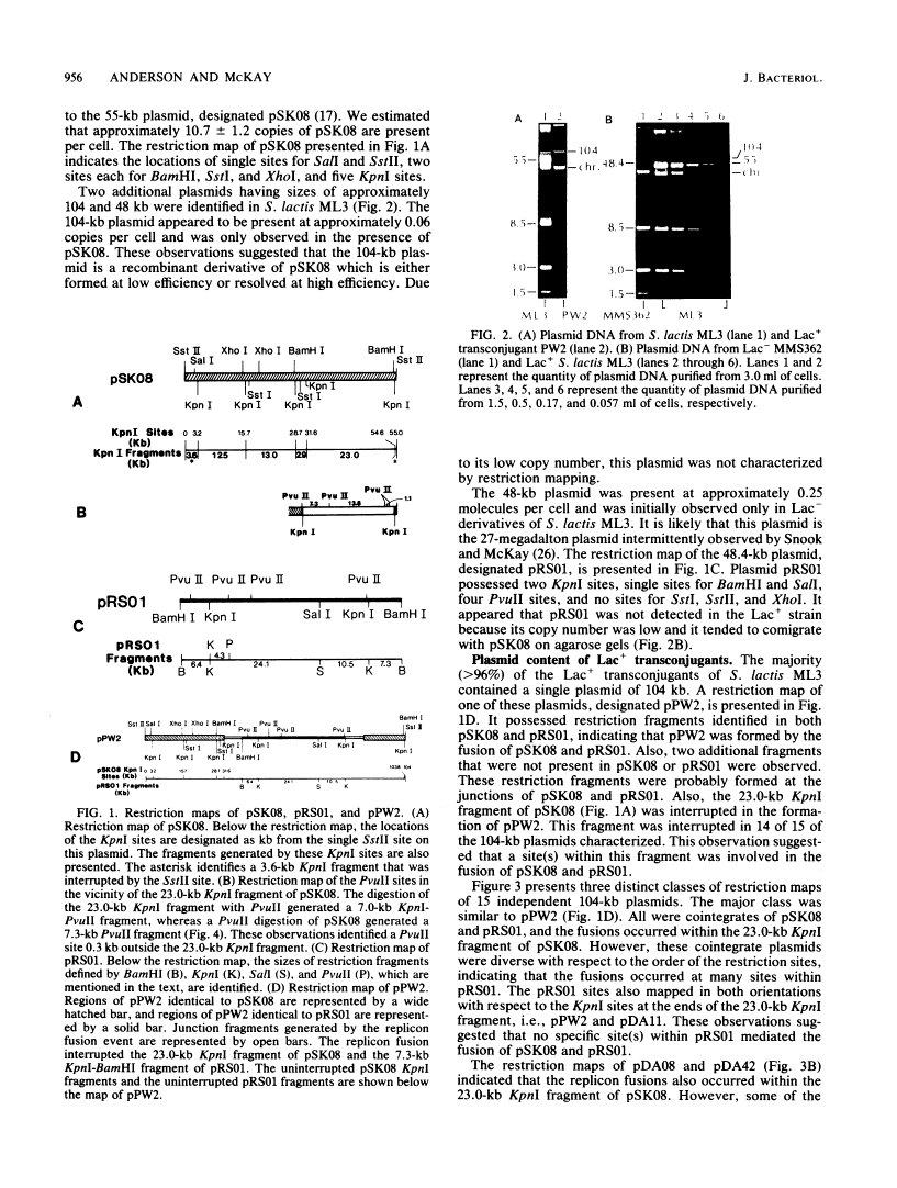 icon of scanned page 956