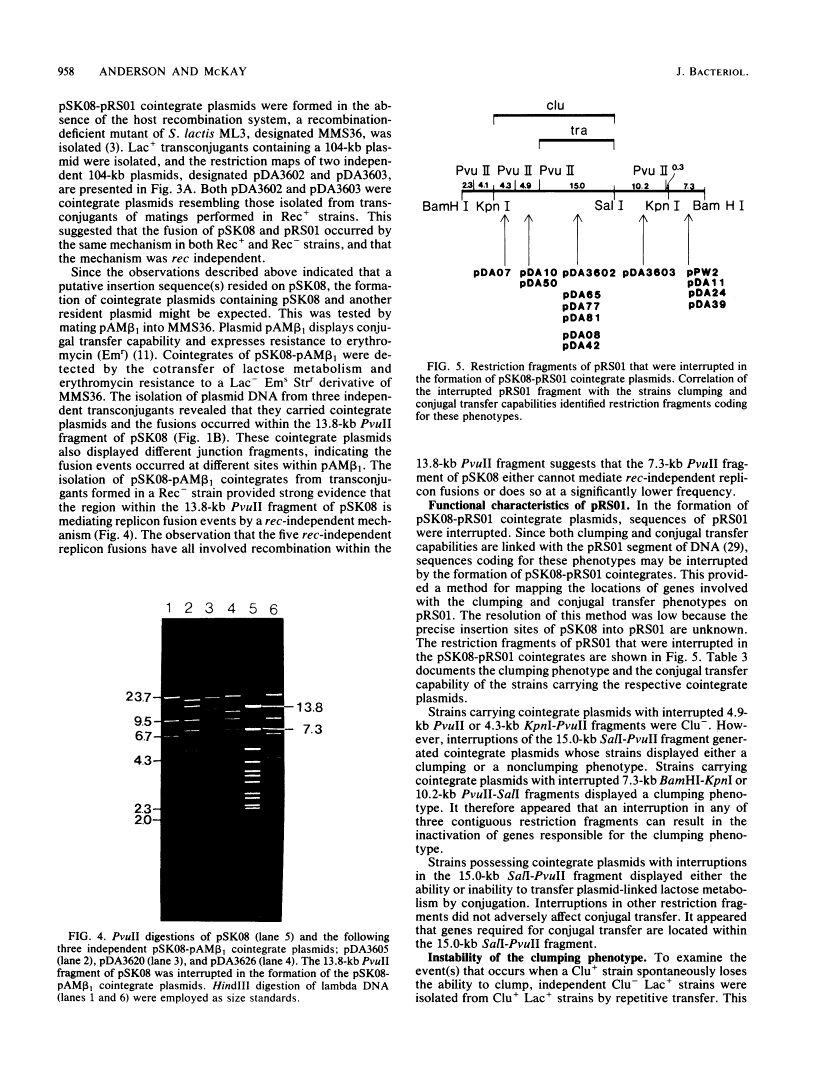 icon of scanned page 958