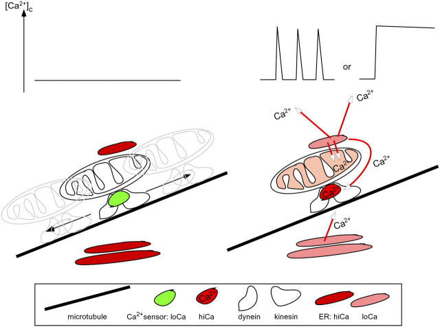 An external file that holds a picture, illustration, etc.
Object name is 200406038f6.jpg