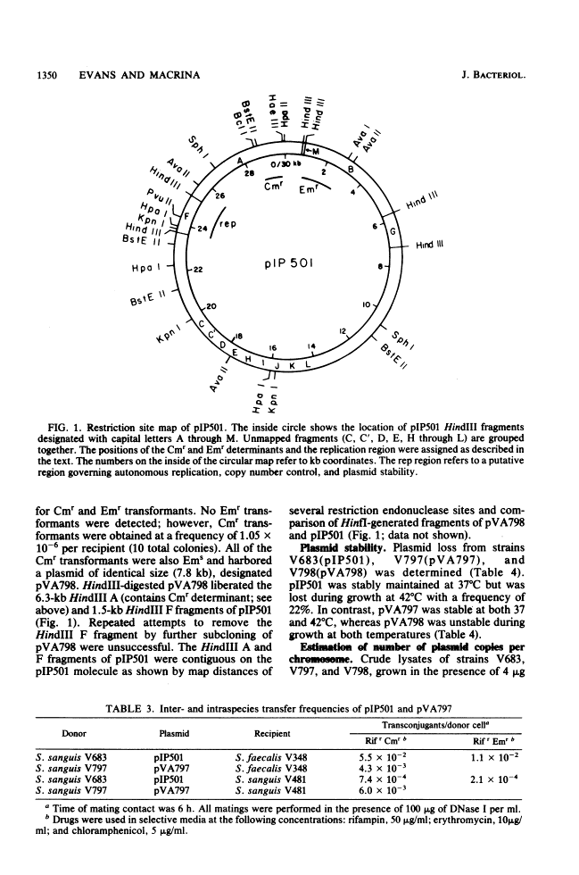 icon of scanned page 1350