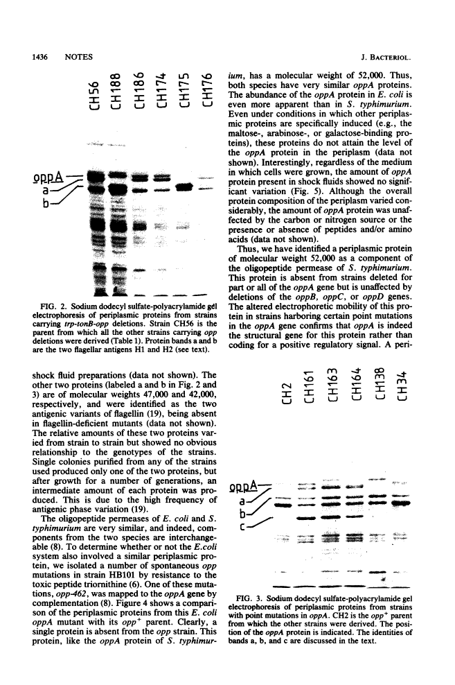 icon of scanned page 1436